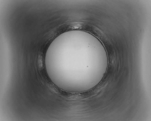 X0000112951442200909141358