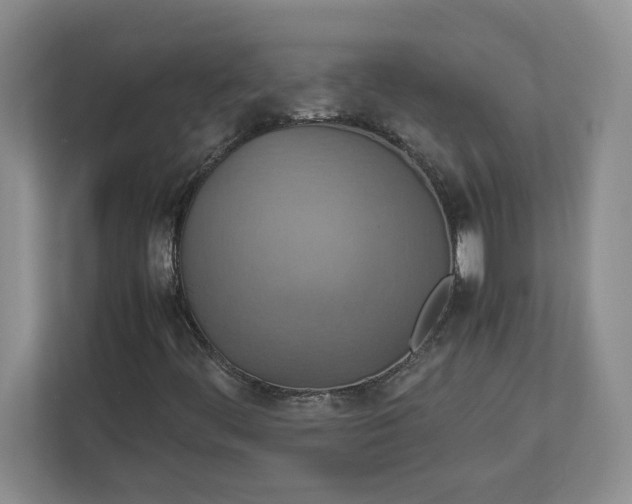 X0000112951444200909141358