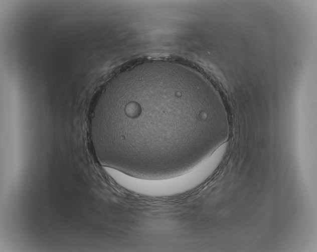 X0000112951445200909141358