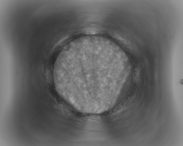 X0000112951446200909141358