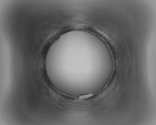 X0000112951447200909141358