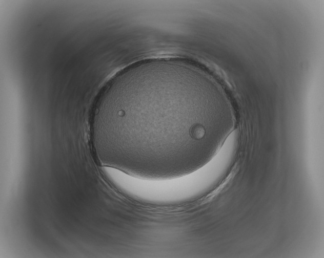 X0000112951449200909141358