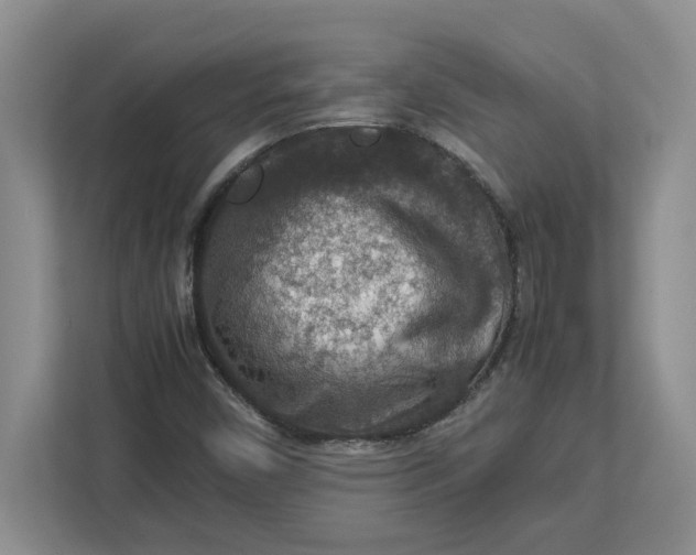 X0000112951450200909141357