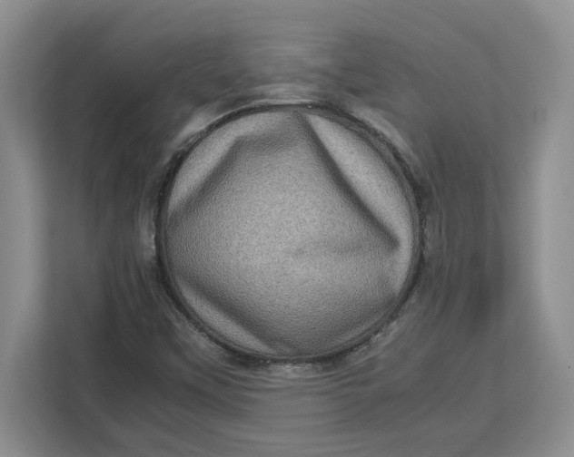 X0000112951451200909141357