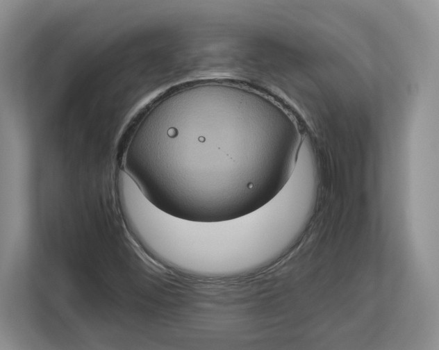 X0000112951452200909141357