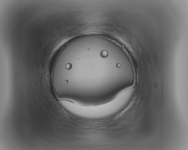 X0000112951453200909141357