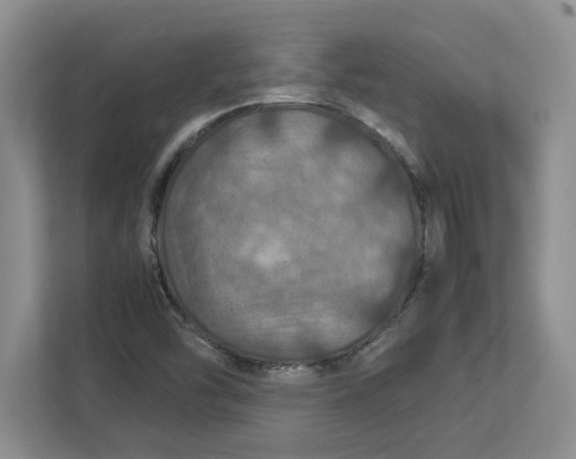 X0000112951454200909141357