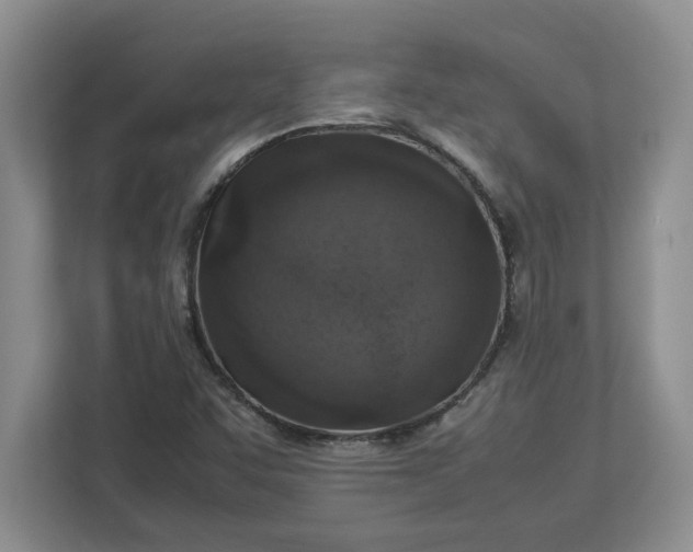 X0000112951455200909141357