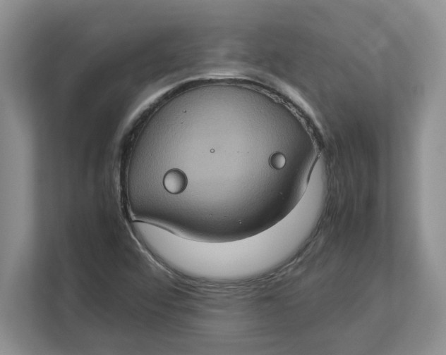 X0000112951456200909141357