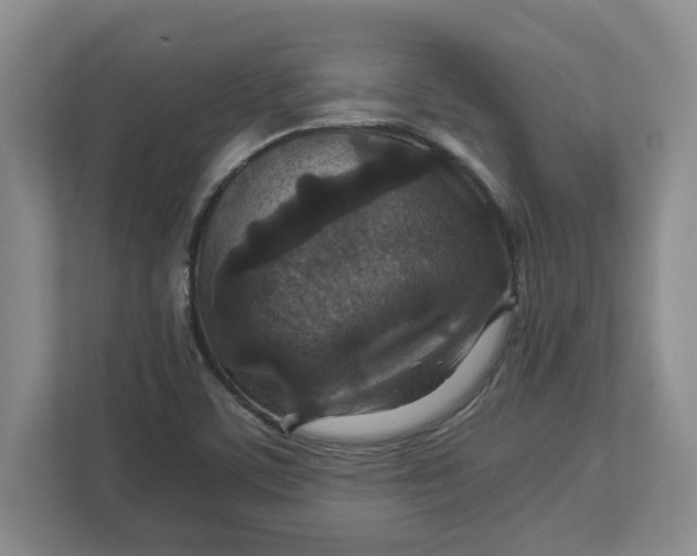 X0000112951459200909141357