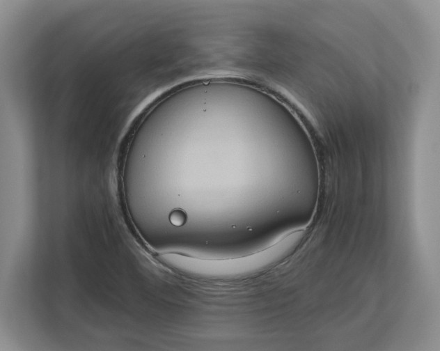 X0000112951460200909141357