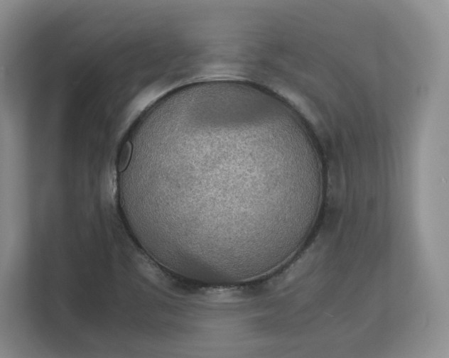 X0000112951461200909141357