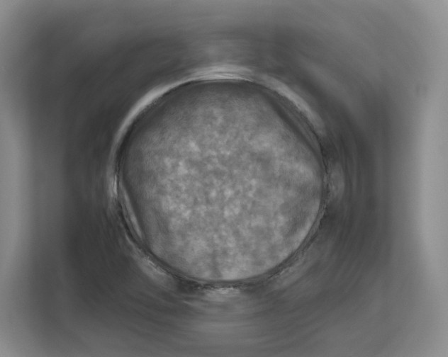 X0000112951462200909141357