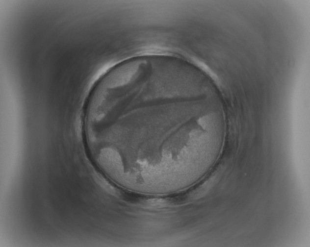 X0000112951463200909141357