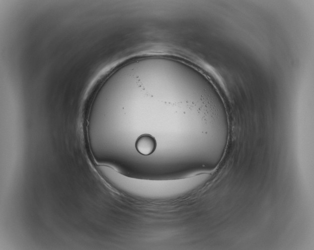 X0000112951464200909141357