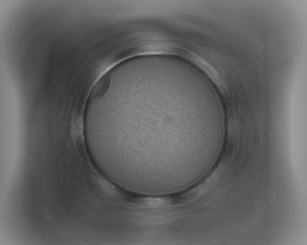 X0000112951465200909141357