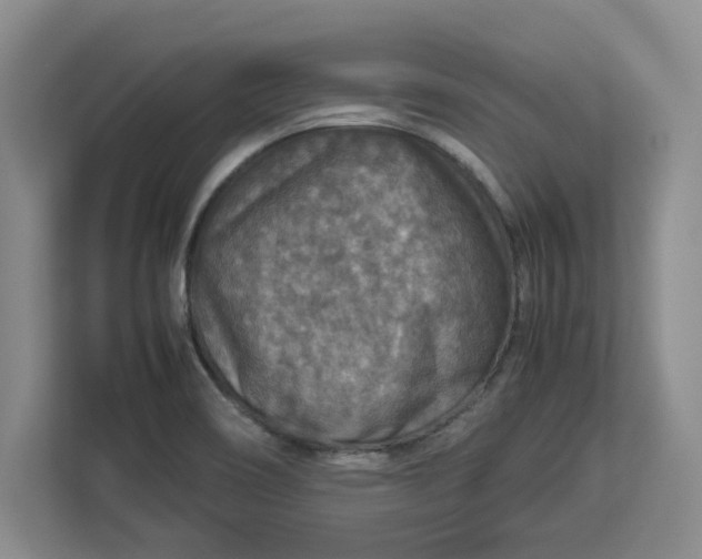 X0000112951466200909141357