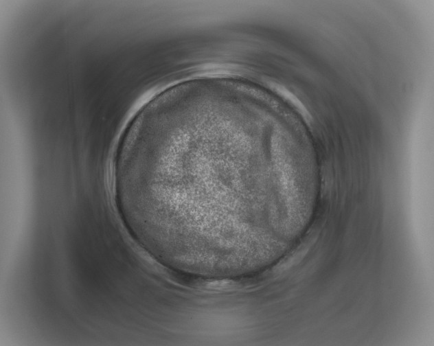 X0000112951467200909141357