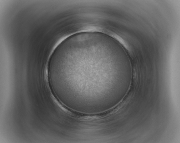 X0000112951468200909141357