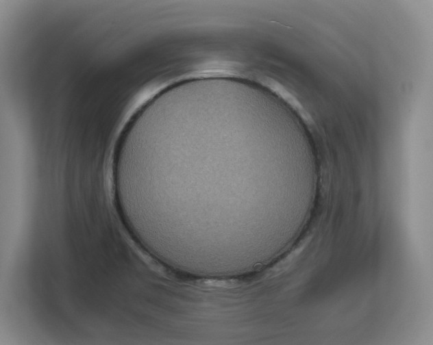 X0000112951469200909141357