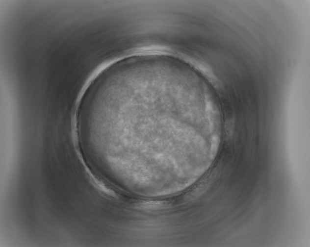 X0000112951470200909141357