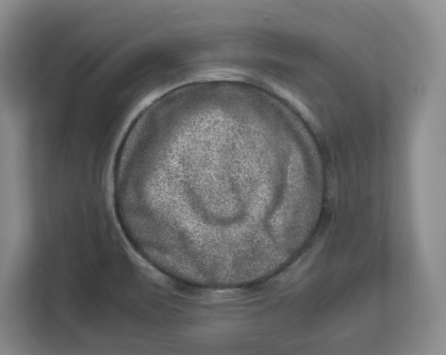 X0000112951471200909141357