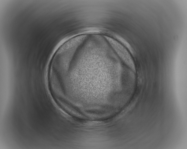 X0000112951475200909141357