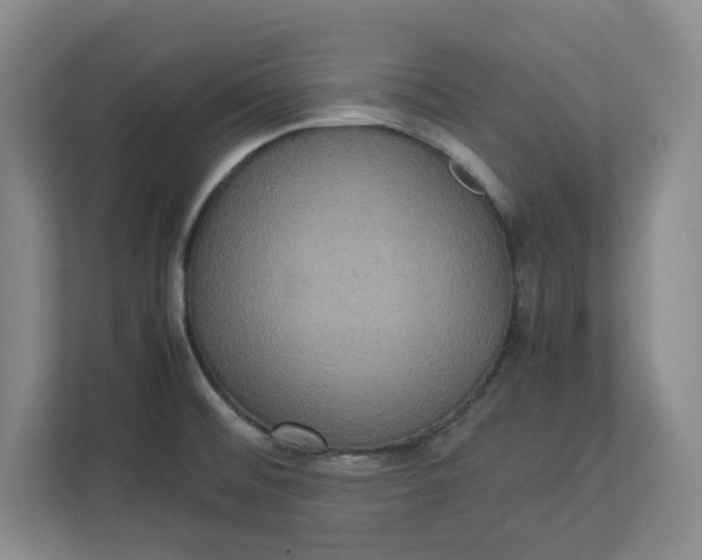 X0000112951476200909141357