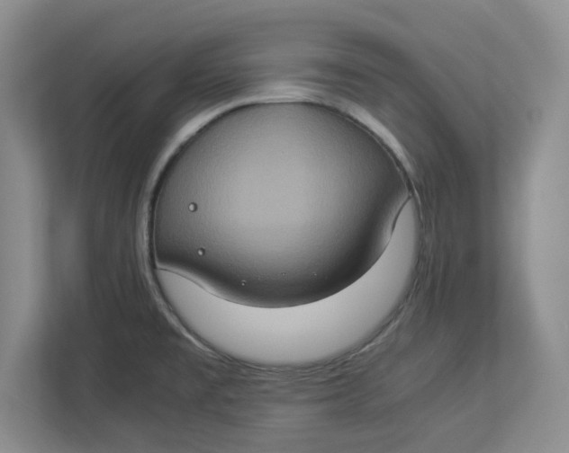 X0000112951477200909141357