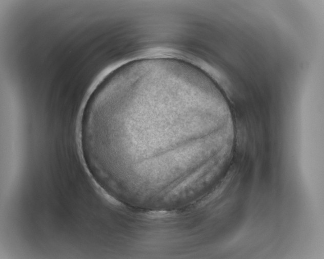 X0000112951478200909141357