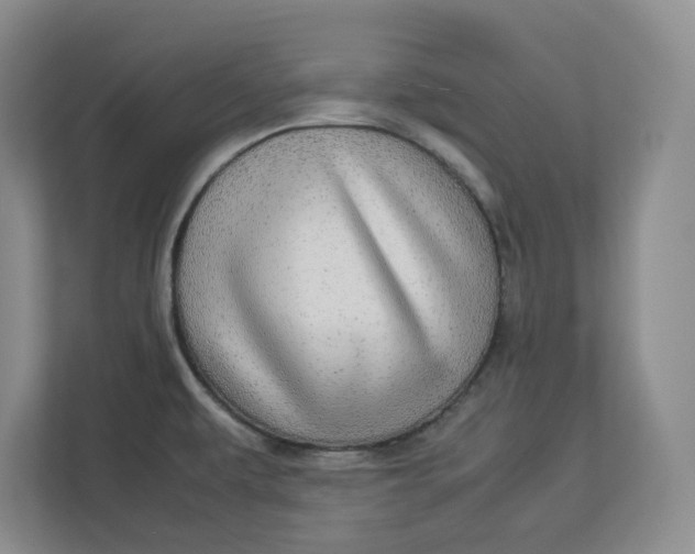 X0000112951479200909141357