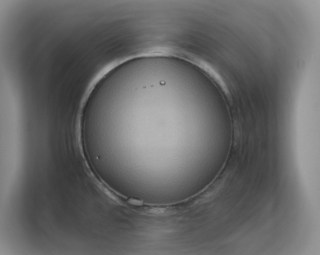 X0000112951480200909141357