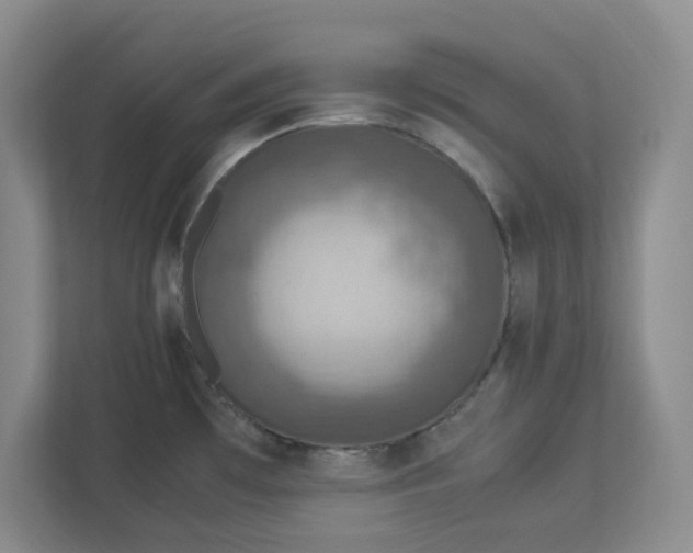 X0000112951481200909141357