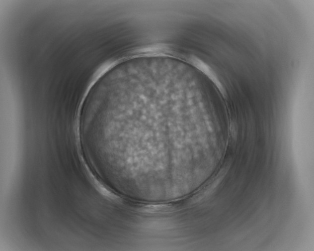 X0000112951482200909141357