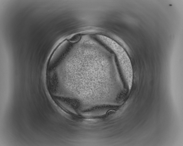 X0000112951483200909141357