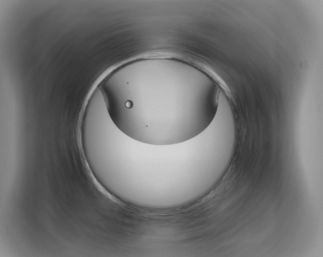 X0000112951484200909141357