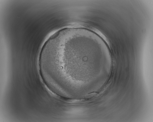 X0000112951485200909141357