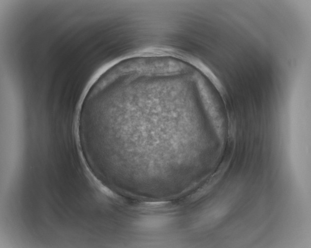 X0000112951486200909141357