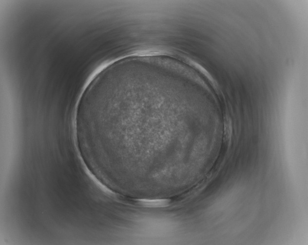 X0000112951487200909141357