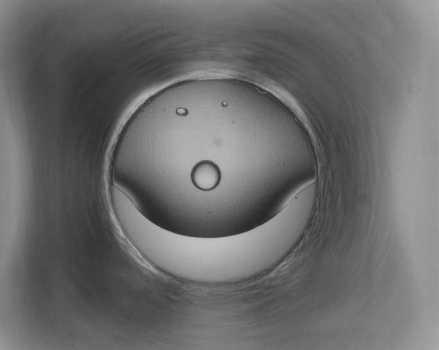 X0000112951488200909141357