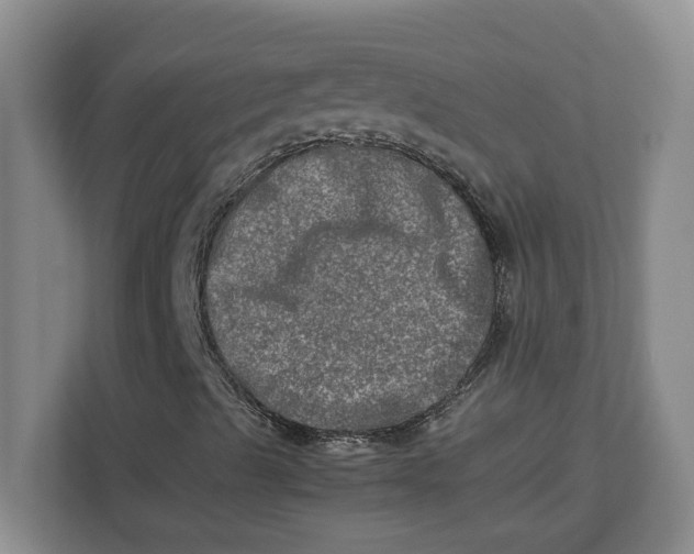 X0000112951489200909141356