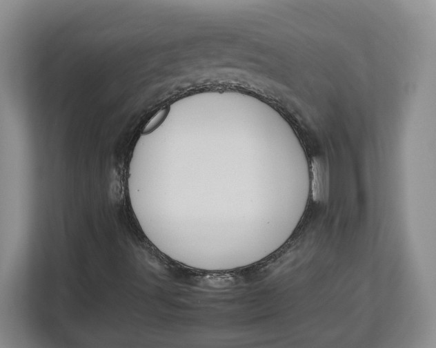 X0000112951491200909141356