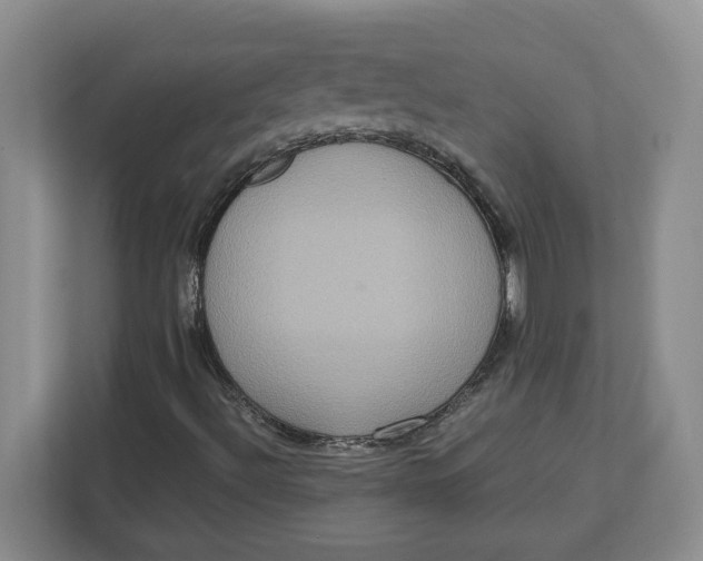 X0000112951492200909141356