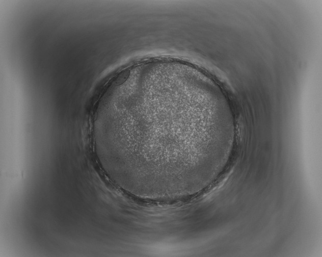 X0000112951494200909141356