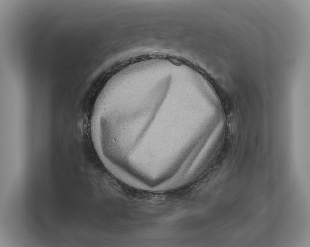 X0000112951495200909141356