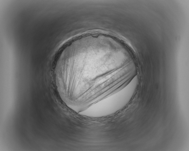 X0000112951496200909141356