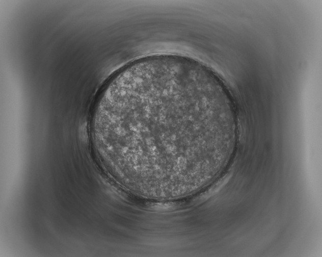 X0000112951497200909141356