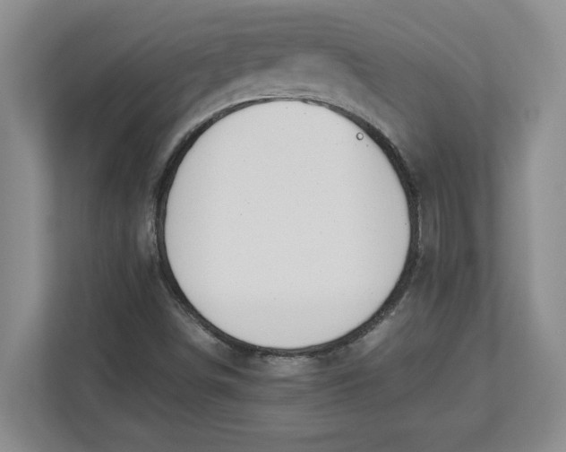 X0000112951498200909141357