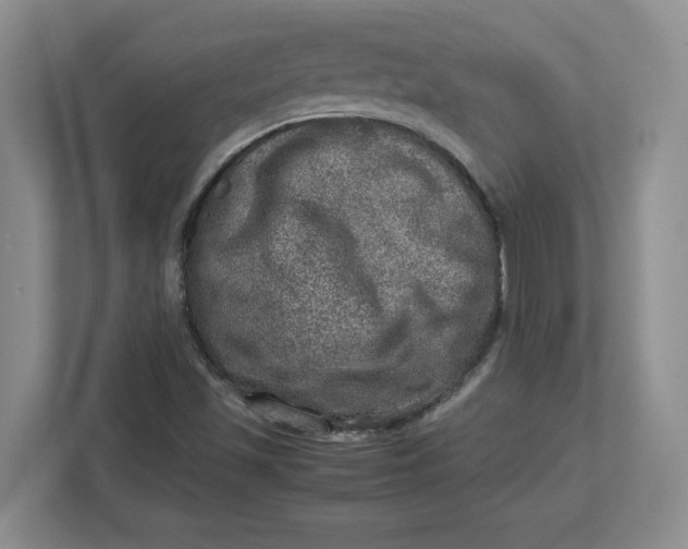 X0000112951501200909141357