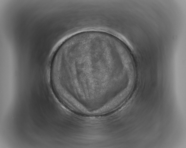 X0000112951504200909141357